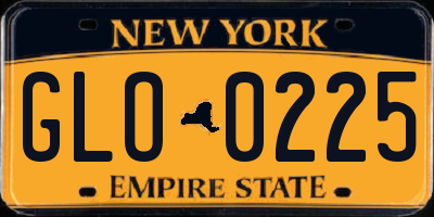 NY license plate GLO0225