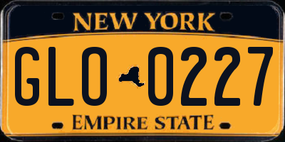 NY license plate GLO0227