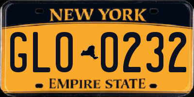 NY license plate GLO0232