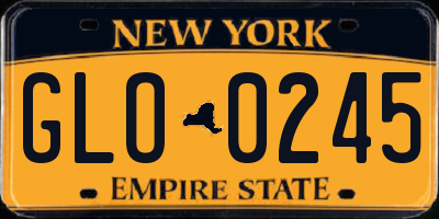 NY license plate GLO0245