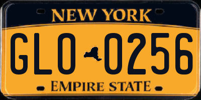 NY license plate GLO0256