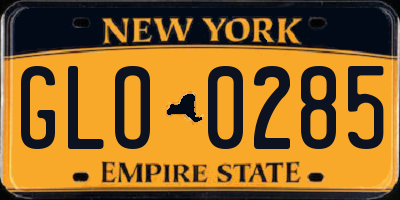 NY license plate GLO0285