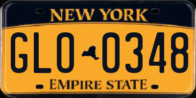 NY license plate GLO0348