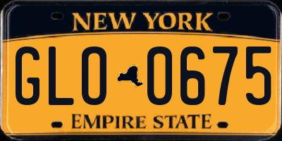 NY license plate GLO0675