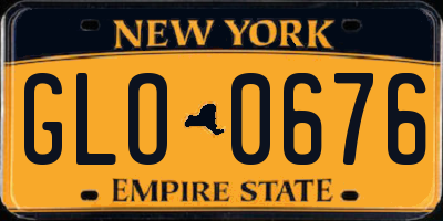 NY license plate GLO0676