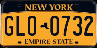 NY license plate GLO0732