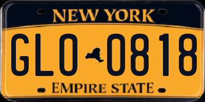 NY license plate GLO0818