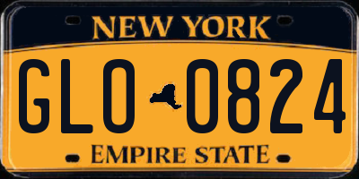 NY license plate GLO0824
