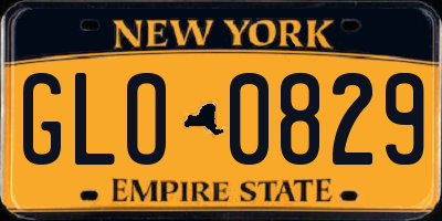 NY license plate GLO0829