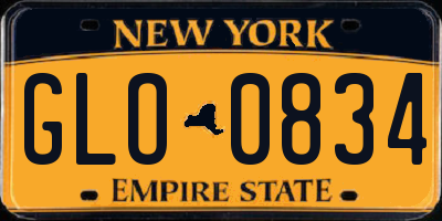 NY license plate GLO0834