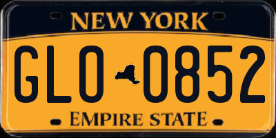 NY license plate GLO0852