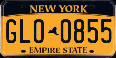 NY license plate GLO0855