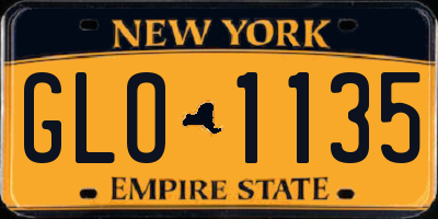 NY license plate GLO1135