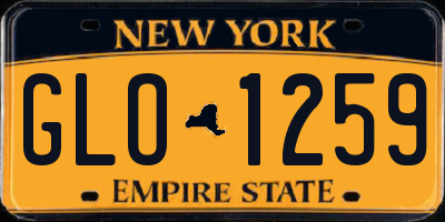 NY license plate GLO1259