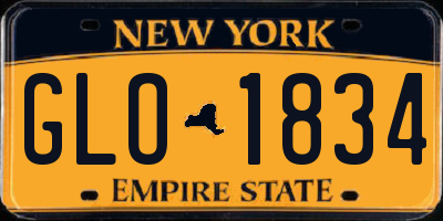 NY license plate GLO1834
