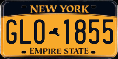 NY license plate GLO1855