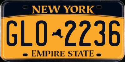 NY license plate GLO2236
