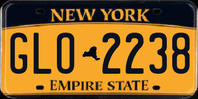 NY license plate GLO2238