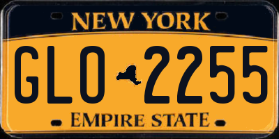 NY license plate GLO2255