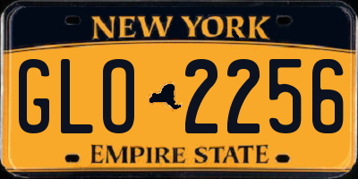 NY license plate GLO2256