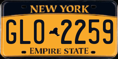 NY license plate GLO2259