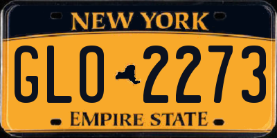 NY license plate GLO2273