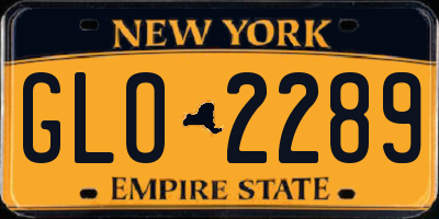NY license plate GLO2289