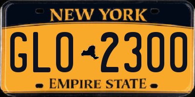 NY license plate GLO2300