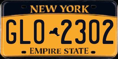 NY license plate GLO2302