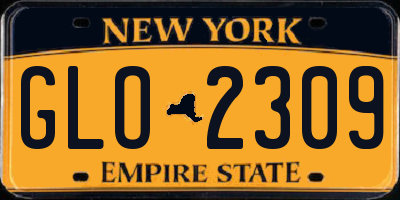 NY license plate GLO2309