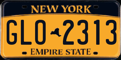 NY license plate GLO2313