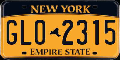 NY license plate GLO2315