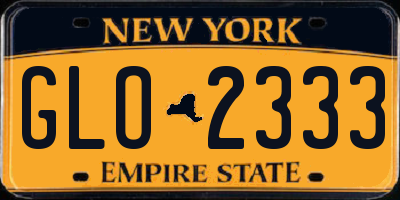 NY license plate GLO2333