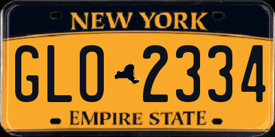 NY license plate GLO2334