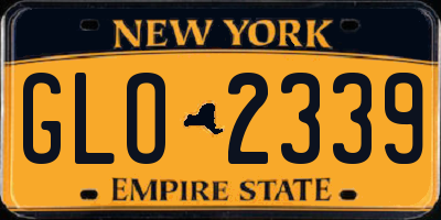 NY license plate GLO2339