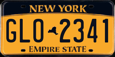 NY license plate GLO2341