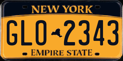 NY license plate GLO2343