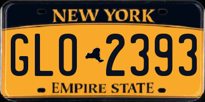 NY license plate GLO2393