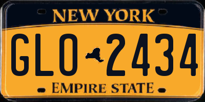 NY license plate GLO2434