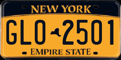 NY license plate GLO2501
