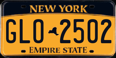 NY license plate GLO2502
