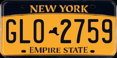 NY license plate GLO2759