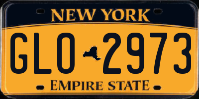 NY license plate GLO2973