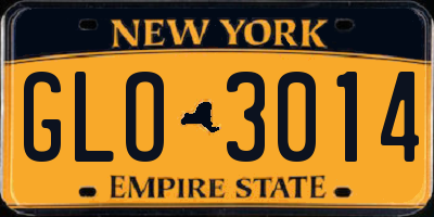 NY license plate GLO3014