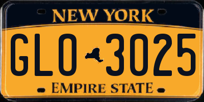 NY license plate GLO3025