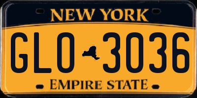 NY license plate GLO3036