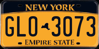 NY license plate GLO3073