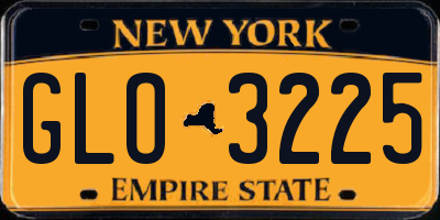 NY license plate GLO3225