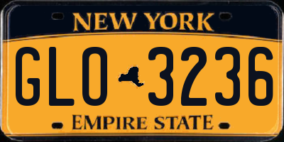 NY license plate GLO3236
