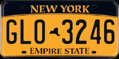 NY license plate GLO3246